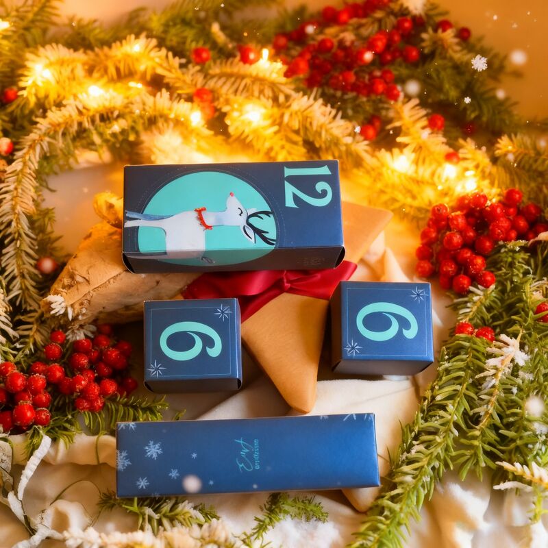 소매 및 소매를 위한 뚜?? 과 기판을 가진 맞춤형 빨간색 크리스마스 축제 카드보드 선물 상자